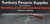 Remington 121 22LR Pump Action Rifle S/H AW467