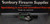 Savage B17 17HMR Synthetic + Scope S/H AS341