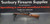 CZ 457 Beech Wood 22LR TB 5rnd 20" AW386 CZ Scope Package A-496