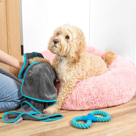 Beldray Dog Drying Towel - XL Pet Towel LA036157UFEU7