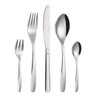 Set of five stainless steel cutlery pieces, including knife, forks and spoons, shown on white.