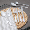 Silver stainless steel cutlery set with knives, forks, spoons on woven placemat