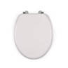 Grey oval toilet seat with chrome hinges shown closed, top view.