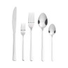 Set of five silver stainless steel cutlery pieces on white background, including knife, forks, and spoons