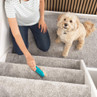 Beldray Antibac Pet Plus+ Furrresh Cleaning Blade LA034214UFFPEU7