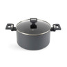 Grey non-stick stockpot with glass lid and Salter-branded handles, shown at an angle