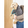 Light brown dog in a grey absorbent drying coat, held by a person indoors