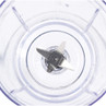 Top-down view of blender jug showing stainless steel blades.