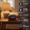 Portable wireless speaker in red on table, with Bluetooth, 12-hour playtime and IP66 waterproof
