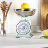 Mint green mechanical kitchen scale with lemon in bowl, on countertop