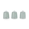 Set of three sage green Salter storage canisters with ribbed finish and lids