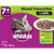 Whiskas Senior Mixed Favourites in Jelly Wet Cat Food Pouches 12pk