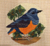 B359 Melissa Prince 4" round Blue Rockthrush