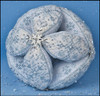 Snow Ball • GIE Just Nan Designs JN224