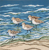 #2622-SP  Sanderlings in Surf Pillow Square 13 Mesh - 12" Square 5 Birds Needle Crossings