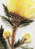 1701 Cornflower Kit Fabric Size 8 x 10 EdMar Brazilian Dimensional Embroidery