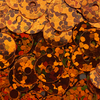 #SQ-128A Pumpkin Shimmer 6mm Sequin Sundance Beads