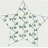 Wg11432-13 Sabrina's Star 13 count 6"  Whimsy And Grace ORNAMENT 