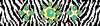 Bracelet BR 696 Jewel Zebra Turquoise  8 x 2 18 mesh Canvas Only Voila!