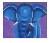 ME1 Ellie the Elephant Medeline Elizabeth 18 Count 5 x 6