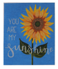 ME49 You are My Sunshine 13 Mesh 8" x 10" Madeleine Elizabeth