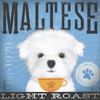 100 Series:  TC-SF-125 12x12 18ct Maltese Tango & Chocolate