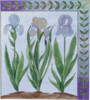 FG-111A The Irises	12 X 13.5 13 Mesh Renaissance Designs (2020)