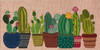 ASIT351-13	Cactus	22.75X11.5	 13 Mesh A Stitch In Time