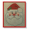 CD776*	Santa Face	4" x 5" 13 Mesh With Stitch Guide DESIGNS BY CAROL DUPREE Quail Run Designs