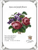 Roses and Purple Flowers -E Antique  Needlework Design