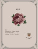 Rose-A Antique Needlework Design