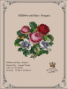 Hellebore and Roses Bouquet-A Antique Needlework Design