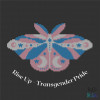 Rise Up - Transgender Pride 98w x 60h BAD Stitch