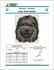 Bouvier - Portrait 150w x 178h only full stitches DogShoppe Designs