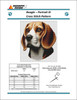 Beagle - Portrait III 157w x 175h only full stitches DogShoppe Designs