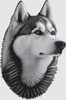 Siberian Husky - Portrait 126w x 191h only full stitches  DogShoppe Designs