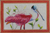 Animal AN190B Spoonbill 17 x 11 18 Mesh Colors of Praise