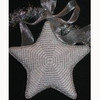 Wg11429A-13 Lyric's Star - Silver 13 count 6"   13 ct Whimsy And Grace ORNAMENT 