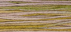 6-Strand Cotton Floss Weeks Dye Works 2286 Thistle