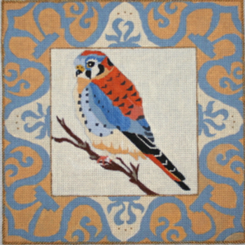 B353 Melissa Prince 12 x 12 American Kestrel 