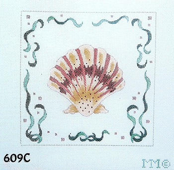 Miniature 609C Scallop Shell/ Seaweed Border – 6x6 on 18 mesh MM Designs