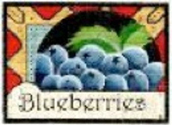 DD-41 Blueberries DENISE DeRUSHA DESIGNS 8 x 6 1/4 18 mesh