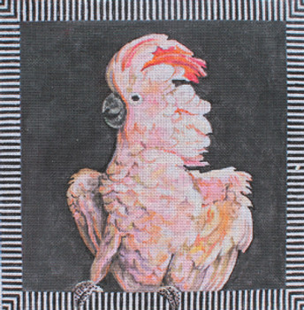 AN151 Colors of Praise Cockatoo18M 11x11