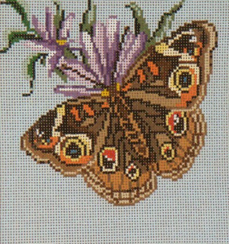 #1503-13 Common Buckeye 13 Mesh - 7" Square  Needle Crossings