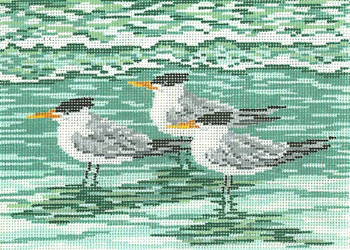 #1623-13 Royal Terns 13 Mesh - 9-1/2" x 7"  Needle Crossings