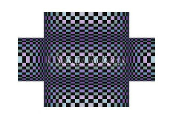 6308 Illusion, brick 8.5" x 4.25" 13 Mesh Susan Roberts  Needlepoint