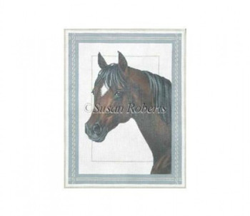 TTAP285 Stallion #13 Mesh 9¾” x 13” Susan Roberts Needlepoint