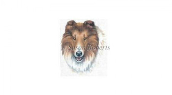 TTASP187 Collie #18 Mesh 4 1/4 x 5 Susan Roberts Needlepoint