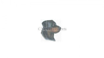 TTASP184 Rottweiler #18 Mesh 4” x 4” Susan Roberts Needlepoint