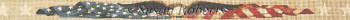 TTB173 American Eagle, belt #18 Mesh Susan Roberts Needlepoint 32" x 1 1/2"